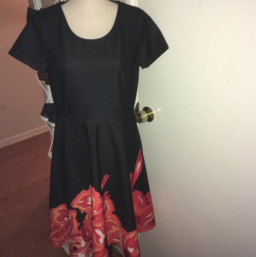 NWT beautiful Midnight Velvet dress